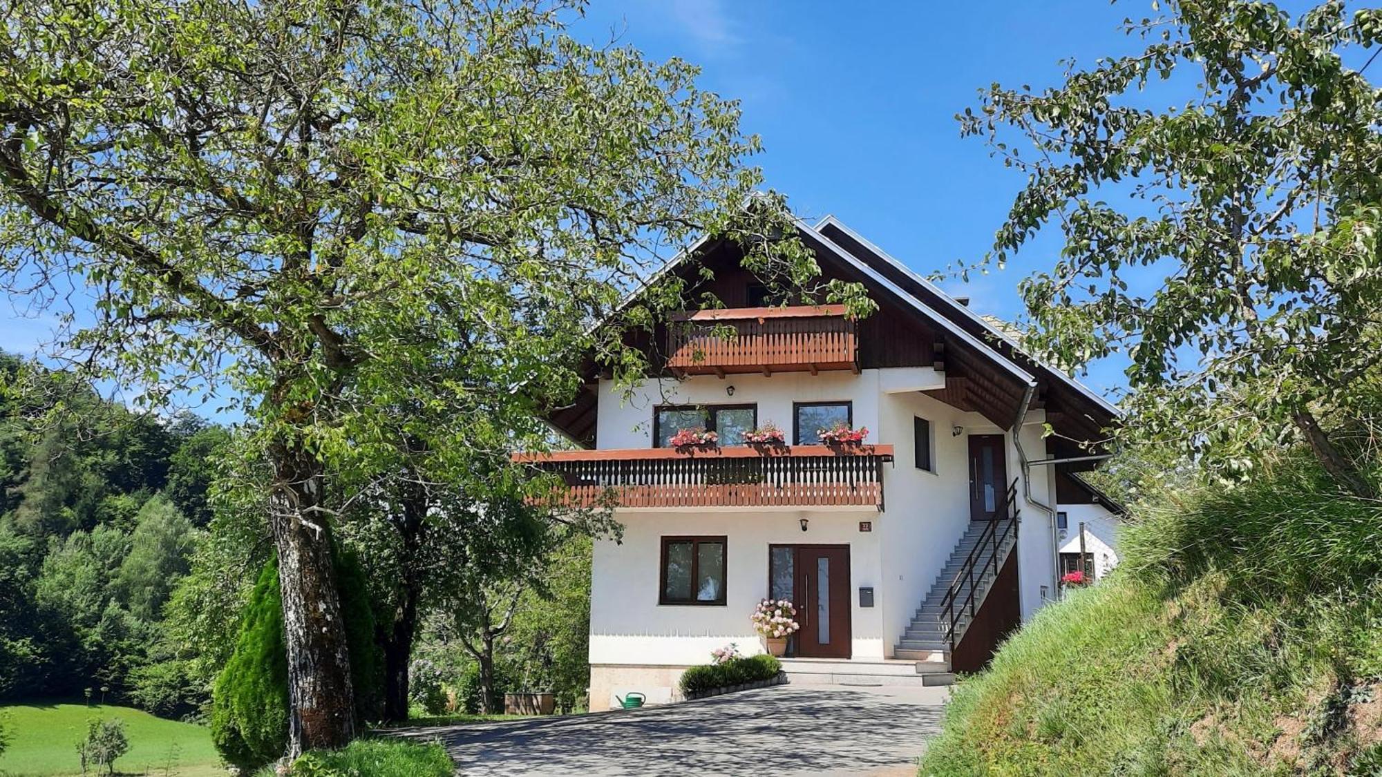 Apartma Lastovka *